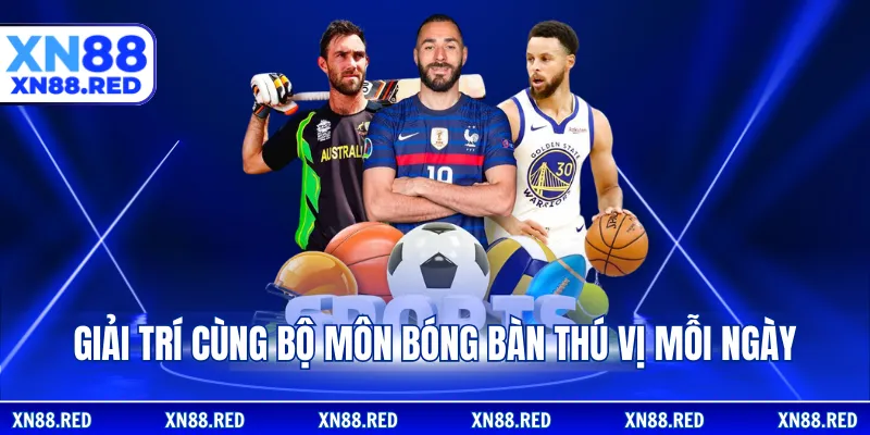 Giải trí cùng bộ môn bóng bàn thú vị mỗi ngày
